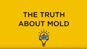 Truth About Mold