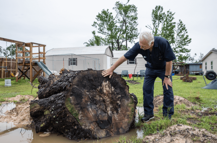 The stump of the tree that destroyed Roy’s home. Neighbors helped him pull it off.