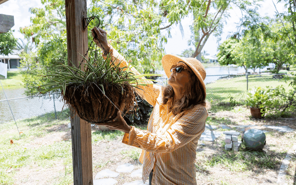 hurricane survivor tends to her plant